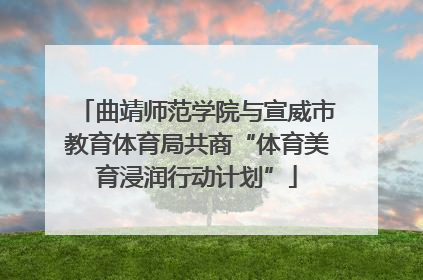 曲靖师范学院与宣威市教育体育局共商“体育美育浸润行动计划”