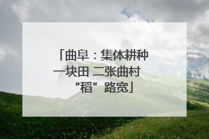 曲阜：集体耕种一块田 二张曲村“稻”路宽