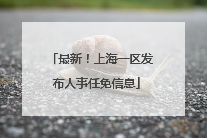 最新！上海一区发布人事任免信息