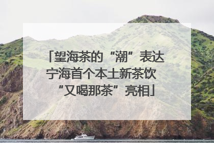 望海茶的“潮”表达 宁海首个本土新茶饮“又喝那茶”亮相