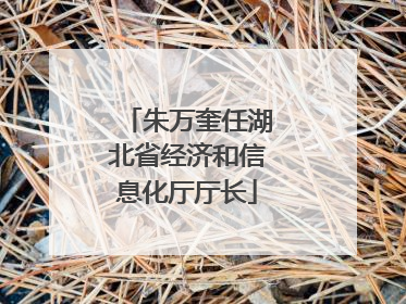 朱万奎任湖北省经济和信息化厅厅长