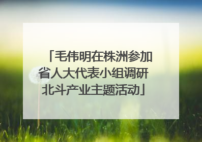 毛伟明在株洲参加省人大代表小组调研北斗产业主题活动