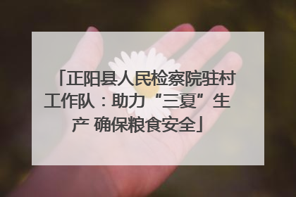 正阳县人民检察院驻村工作队：助力“三夏”生产 确保粮食安全