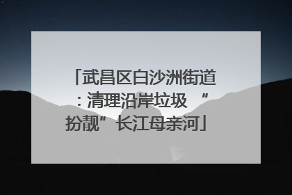 武昌区白沙洲街道：清理沿岸垃圾 “扮靓”长江母亲河