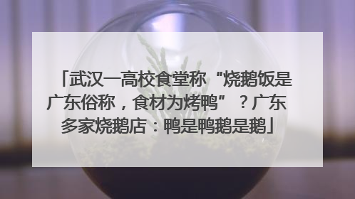 武汉一高校食堂称“烧鹅饭是广东俗称，食材为烤鸭”？广东多家烧鹅店：鸭是鸭鹅是鹅