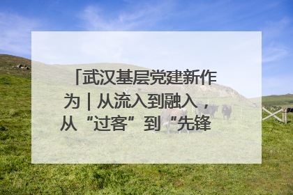 武汉基层党建新作为｜从流入到融入，从“过客”到“先锋” 武汉为流动党员筑起温暖之家