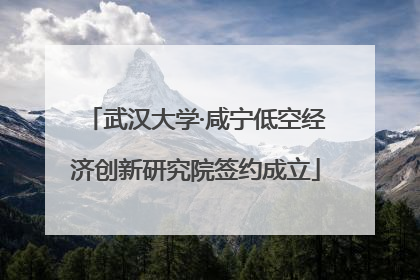 武汉大学·咸宁低空经济创新研究院签约成立