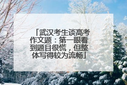 武汉考生谈高考作文题：第一眼看到题目很慌，但整体写得较为流畅