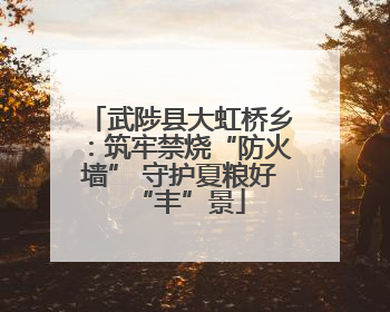 武陟县大虹桥乡：筑牢禁烧“防火墙” 守护夏粮好“丰”景