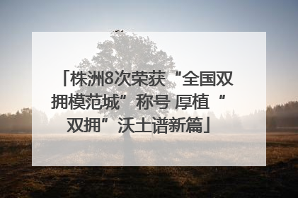 株洲8次荣获“全国双拥模范城”称号 厚植“双拥”沃土谱新篇