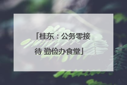 桂东：公务零接待 勤俭办食堂