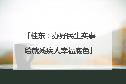 桂东：办好民生实事 绘就残疾人幸福底色