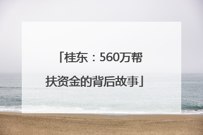 桂东：560万帮扶资金的背后故事