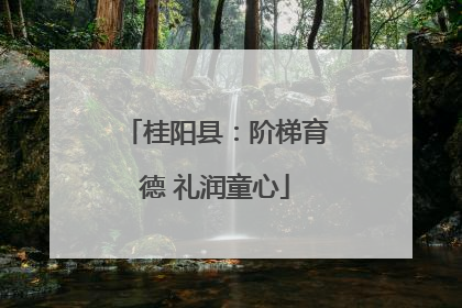 桂阳县：阶梯育德 礼润童心