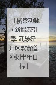 桥梁动脉+新能源引擎 武陟经开区双赛道冲刺半年目标