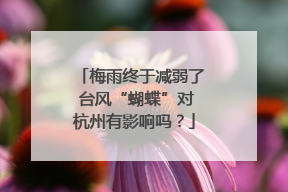 梅雨终于减弱了 台风“蝴蝶”对杭州有影响吗？