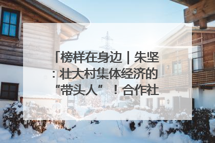 榜样在身边｜朱坚：壮大村集体经济的“带头人”！合作社经营收入三年内突破1200万元