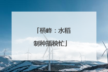 横峰：水稻制种插秧忙