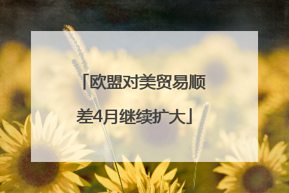 欧盟对美贸易顺差4月继续扩大