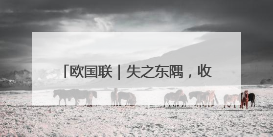 欧国联｜失之东隅，收之桑榆！四年无冠的C罗终于再次举起奖杯
