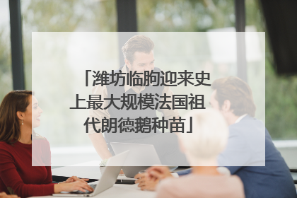 潍坊临朐迎来史上最大规模法国祖代朗德鹅种苗
