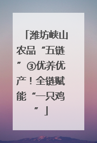 潍坊峡山农品“五链”③优养优产！全链赋能“一只鸡”