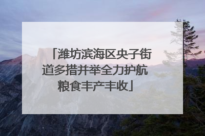 潍坊滨海区央子街道多措并举全力护航粮食丰产丰收
