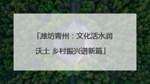 潍坊青州：文化活水润沃土 乡村振兴谱新篇