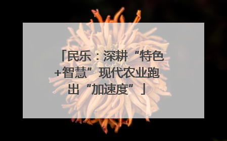 民乐：深耕“特色+智慧”现代农业跑出“加速度”
