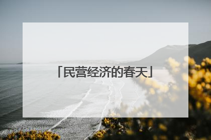 民营经济的春天