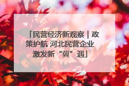 民营经济新观察｜政策护航 河北民营企业激发新“冀”遇