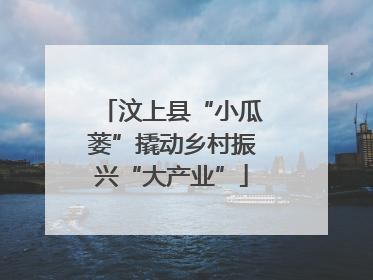 汶上县“小瓜蒌”撬动乡村振兴“大产业”