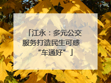 江永：多元公交服务打造民生可感“车通好”