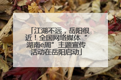 江湖不远，岳阳很近！全国网络媒体“湖南e周”主题宣传活动在岳阳启动