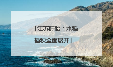江苏盱眙：水稻插秧全面展开