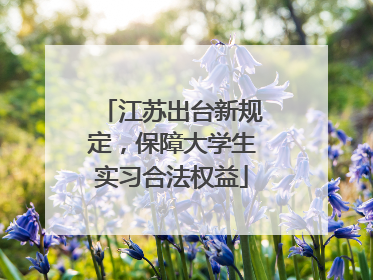 江苏出台新规定，保障大学生实习合法权益
