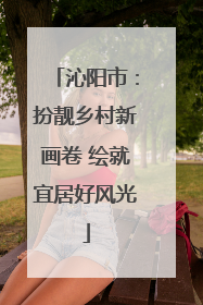 沁阳市：扮靓乡村新画卷 绘就宜居好风光