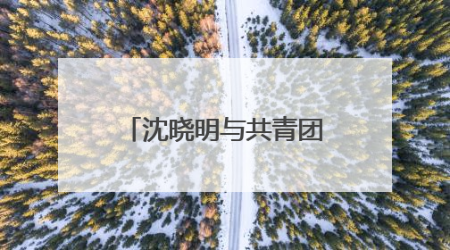沈晓明与共青团中央书记处第一书记阿东一行会谈