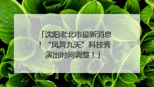 沈阳老北市最新消息！“凤舞九天”科技秀演出时间调整！