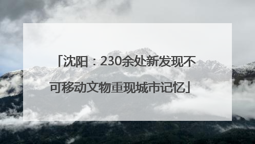 沈阳：230余处新发现不可移动文物重现城市记忆