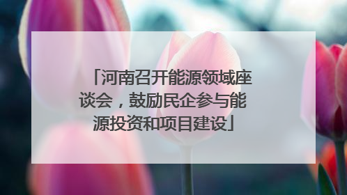 河南召开能源领域座谈会，鼓励民企参与能源投资和项目建设