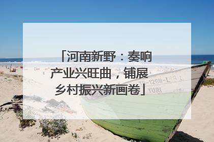 河南新野：奏响产业兴旺曲，铺展乡村振兴新画卷