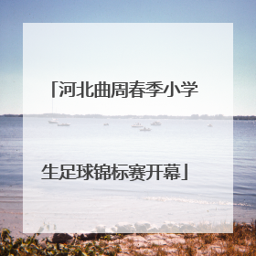 河北曲周春季小学生足球锦标赛开幕