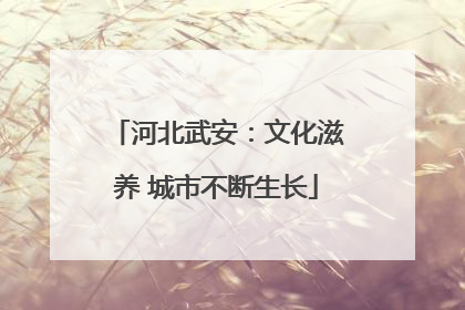 河北武安：文化滋养 城市不断生长