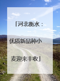 河北衡水：优质新品种小麦迎来丰收