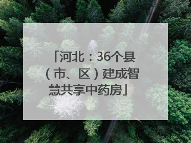 河北：36个县（市、区）建成智慧共享中药房