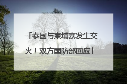 泰国与柬埔寨发生交火！双方国防部回应