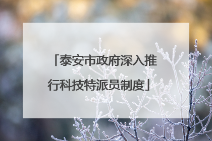 泰安市政府深入推行科技特派员制度