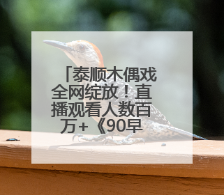 泰顺木偶戏全网绽放！直播观看人数百万+《90早新闻》来了