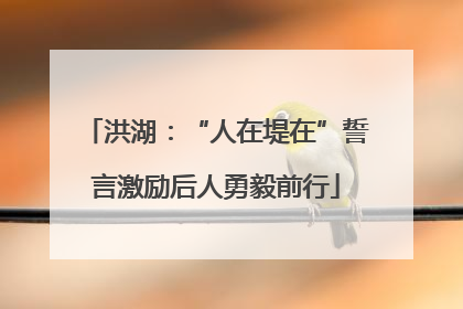 洪湖：“人在堤在”誓言激励后人勇毅前行